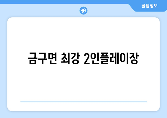 금구면 최강 2인플레이장