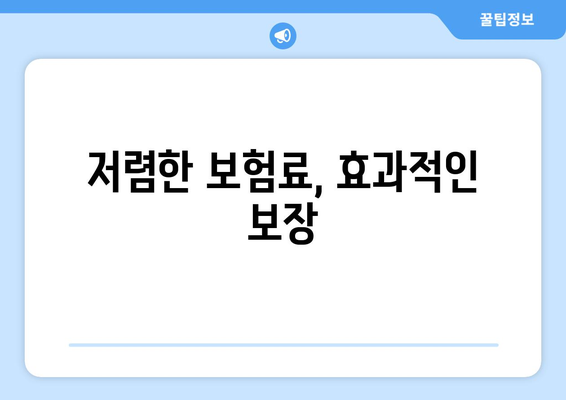 저렴한 보험료, 효과적인 보장