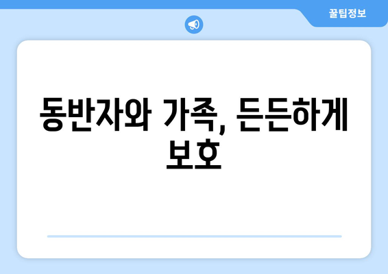 동반자와 가족, 든든하게 보호