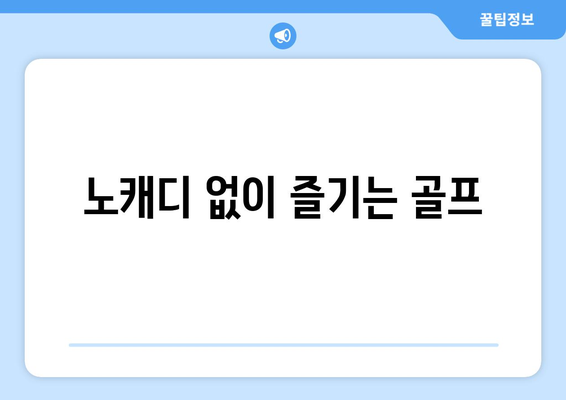 노캐디 없이 즐기는 골프