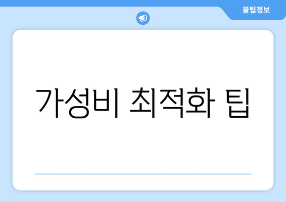 가성비 최적화 팁