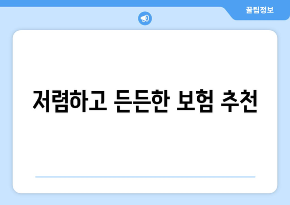 저렴하고 든든한 보험 추천