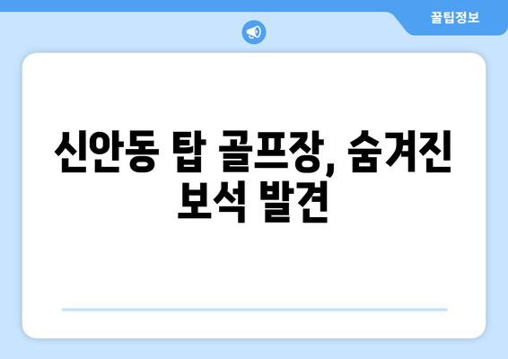 신안동 탑 골프장, 숨겨진 보석 발견