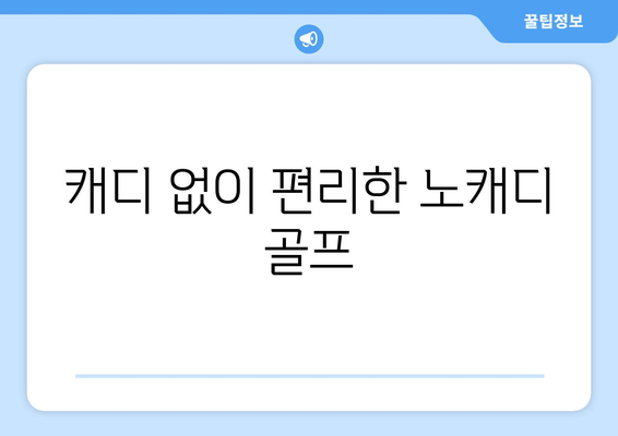 캐디 없이 편리한 노캐디 골프