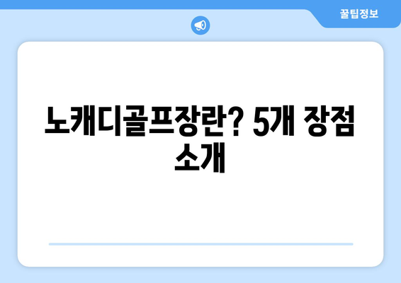 노캐디골프장란? 5개 장점 소개