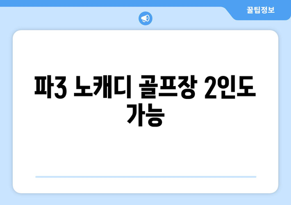 파3 노캐디 골프장 2인도 가능