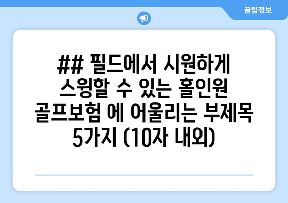 ## 필드에서 시원하게 스윙할 수 있는 홀인원 골프보험 에 어울리는 부제목 5가지 (10자 내외)