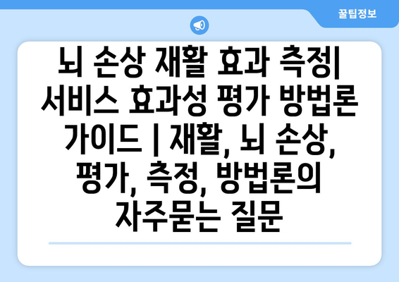 뇌 손상 재활 효과 측정| 서비스 효과성 평가 방법론 가이드 | 재활, 뇌 손상, 평가, 측정, 방법론