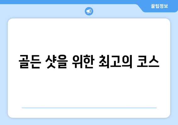 골든 샷을 위한 최고의 코스