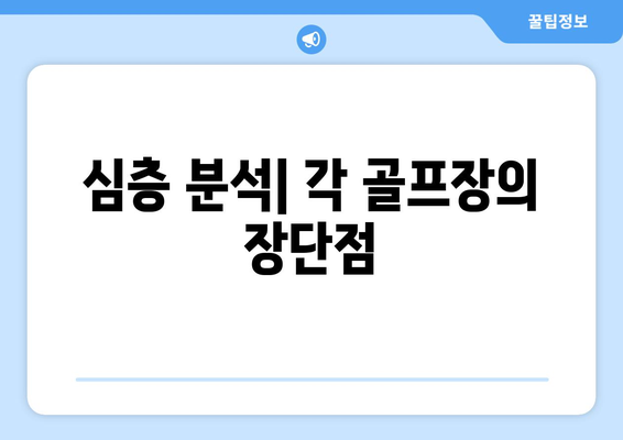 심층 분석| 각 골프장의 장단점