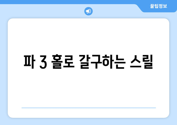 파 3 홀로 갈구하는 스릴