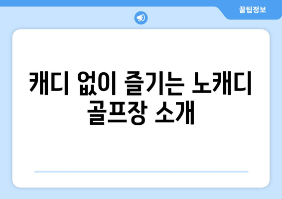 캐디 없이 즐기는 노캐디 골프장 소개