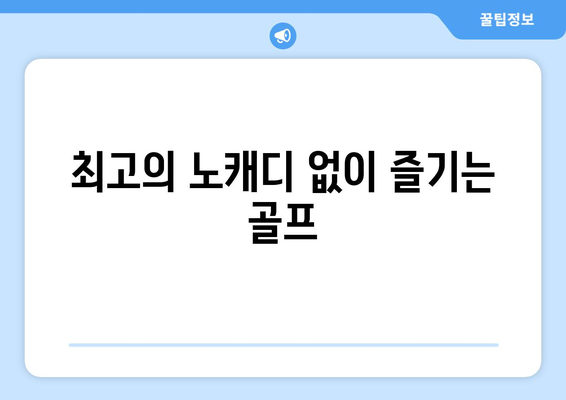 최고의 노캐디 없이 즐기는 골프