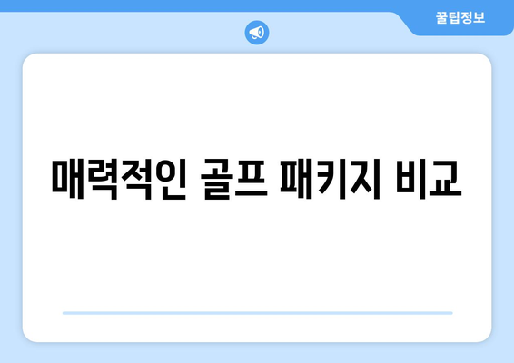 매력적인 골프 패키지 비교