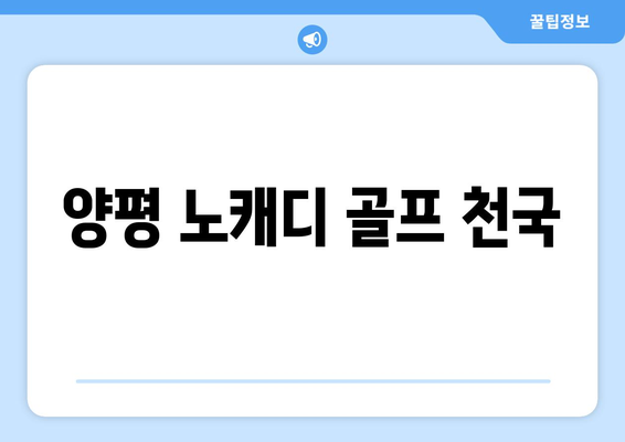 양평 노캐디 골프 천국