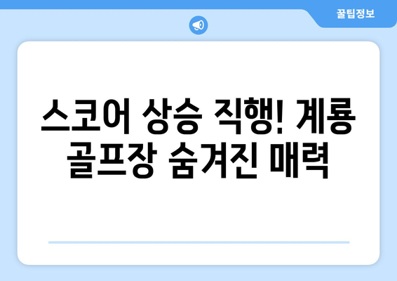 스코어 상승 직행! 계룡 골프장 숨겨진 매력