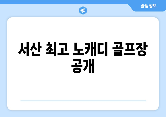 서산 최고 노캐디 골프장 공개