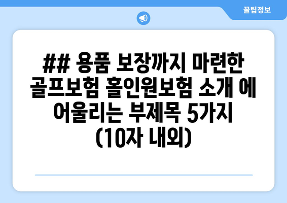 ## 용품 보장까지 마련한 골프보험 홀인원보험 소개 에 어울리는 부제목 5가지 (10자 내외)