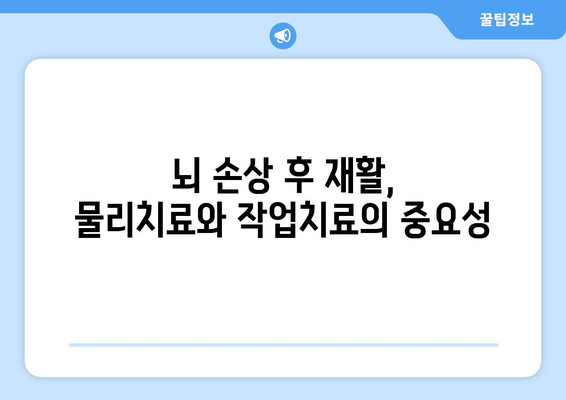 뇌 손상 재활, 물리치료와 작업치료로 극복하기| 효과적인 치료법과 활용 가이드 | 뇌 손상, 재활, 물리치료, 작업치료, 치료법