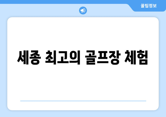 세종 최고의 골프장 체험