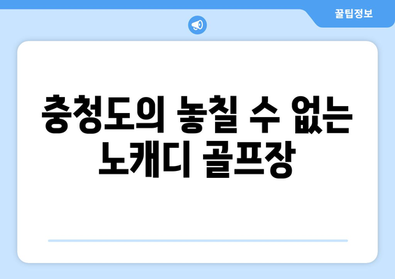 충청도의 놓칠 수 없는 노캐디 골프장