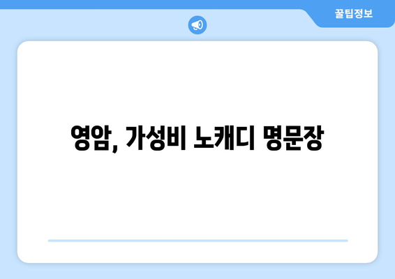 영암, 가성비 노캐디 명문장