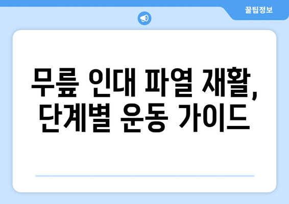 무릎 인대 파열, 증상과 치료 옵션| 재활 운동 중심 가이드 | 무릎 통증, 인대 손상, 운동 치료, 재활