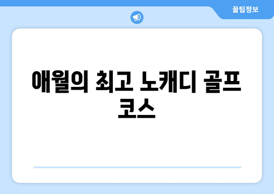 애월의 최고 노캐디 골프 코스