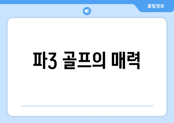 파3 골프의 매력