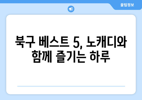 북구 베스트 5, 노캐디와 함께 즐기는 하루