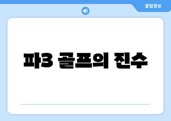 파3 골프의 진수