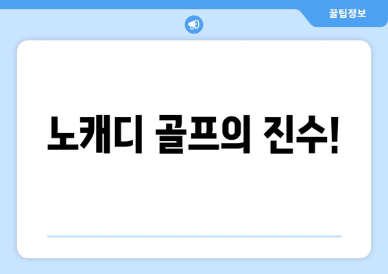 노캐디 골프의 진수!