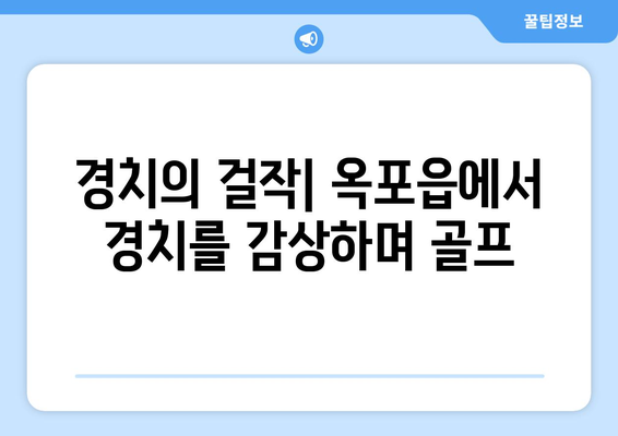 경치의 걸작| 옥포읍에서 경치를 감상하며 골프