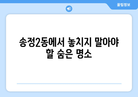 송정2동에서 놓치지 말아야 할 숨은 명소