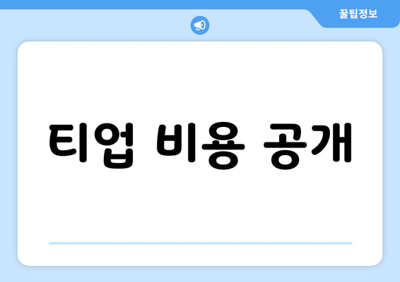 티업비용공개