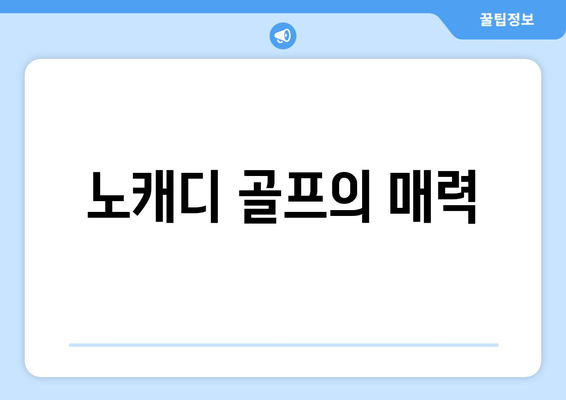 노캐디 골프의 매력