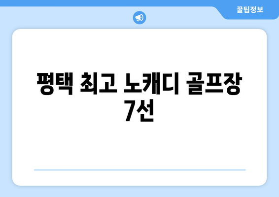 평택 최고 노캐디 골프장 7선