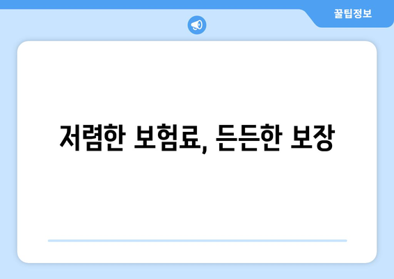 저렴한 보험료, 든든한 보장