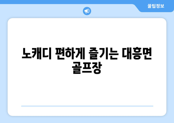 노캐디 편하게 즐기는 대흥면 골프장