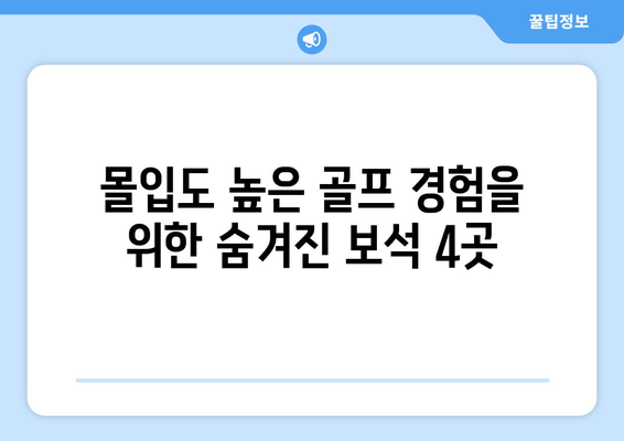 몰입도 높은 골프 경험을 위한 숨겨진 보석 4곳