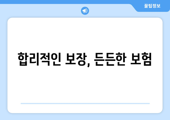 합리적인 보장, 든든한 보험