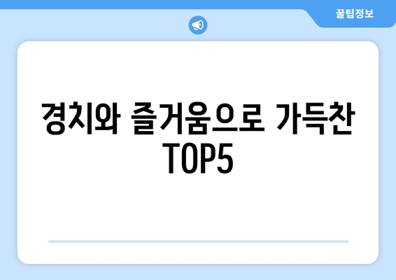 경치와 즐거움으로 가득찬 TOP5