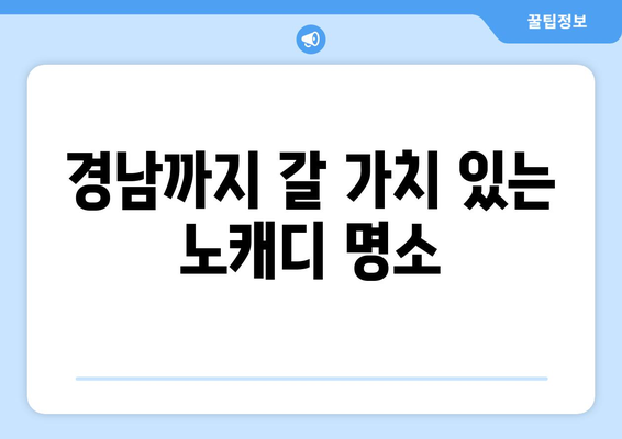 경남까지 갈 가치 있는 노캐디 명소