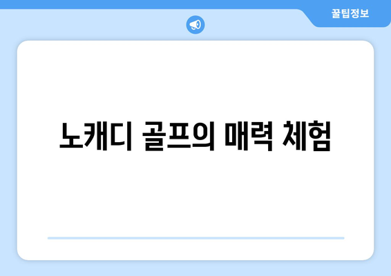 노캐디 골프의 매력 체험