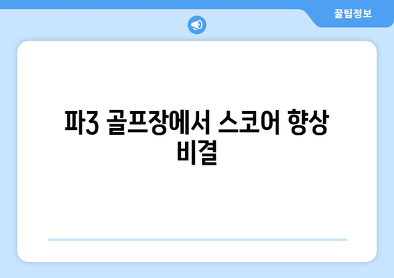 파3 골프장에서 스코어 향상 비결