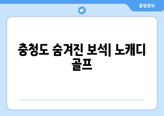 충청도 숨겨진 보석| 노캐디 골프