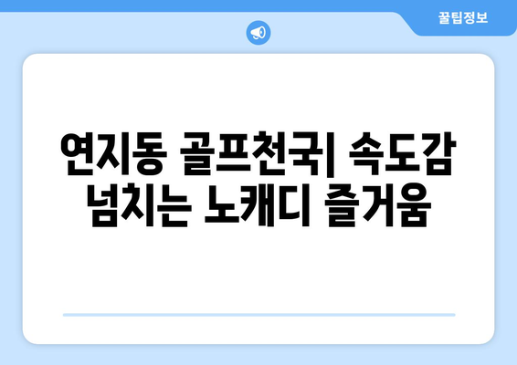 연지동 골프천국| 속도감 넘치는 노캐디 즐거움