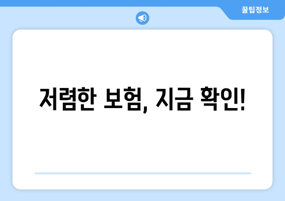 저렴한 보험, 지금 확인!