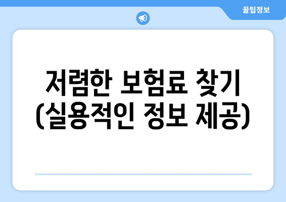 저렴한 보험료 찾기 (실용적인 정보 제공)