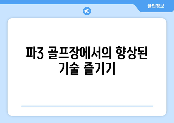 파3 골프장에서의 향상된 기술 즐기기